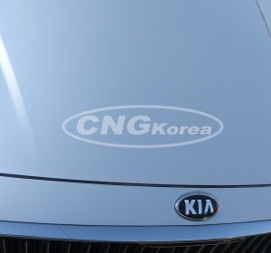 카니발 작업사진